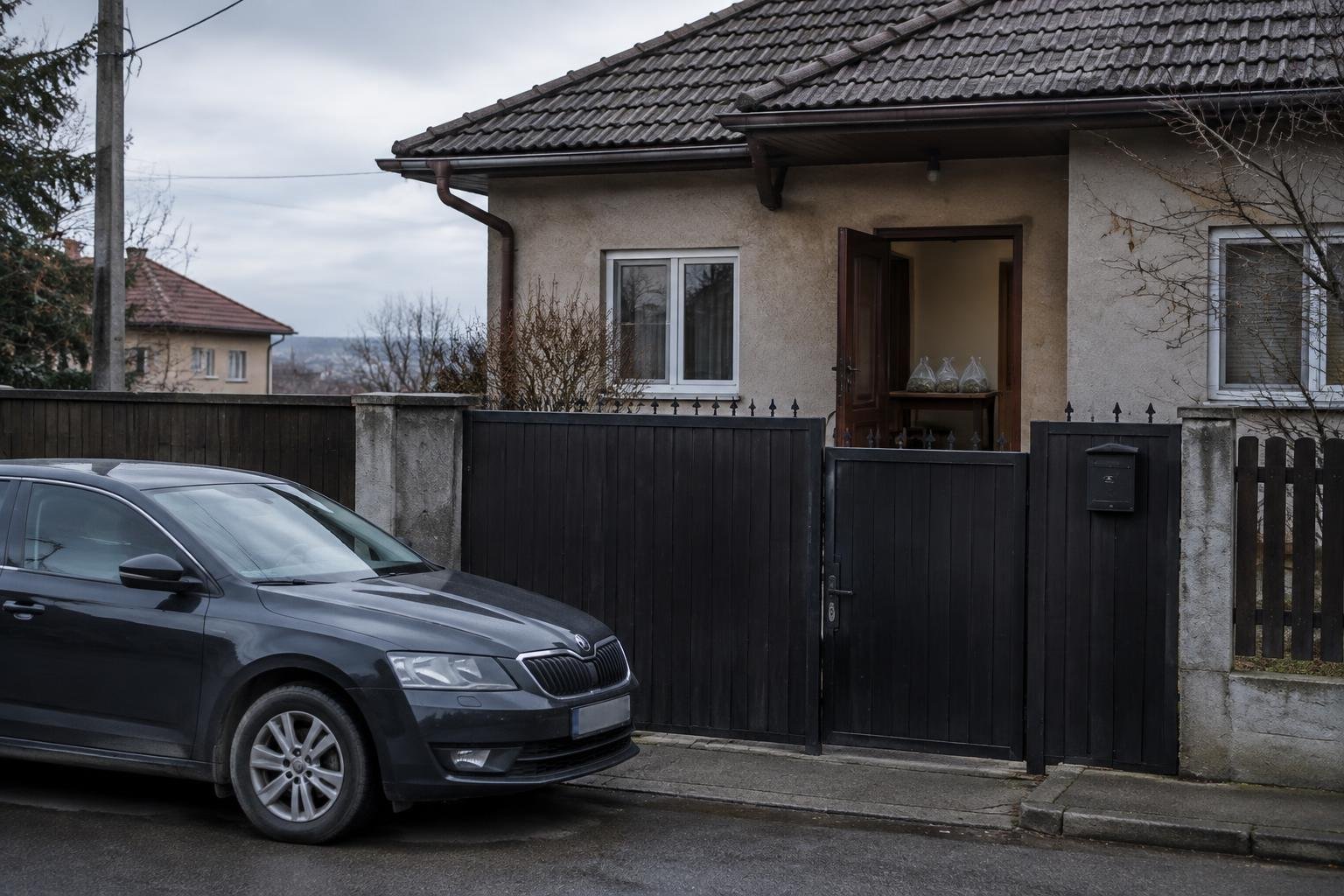 Controale la lemnarii din zona Dornei: 82 de sancțiuni, peste 74.000 de lei amenzi și 20,9 metri cubi de lemn confiscat