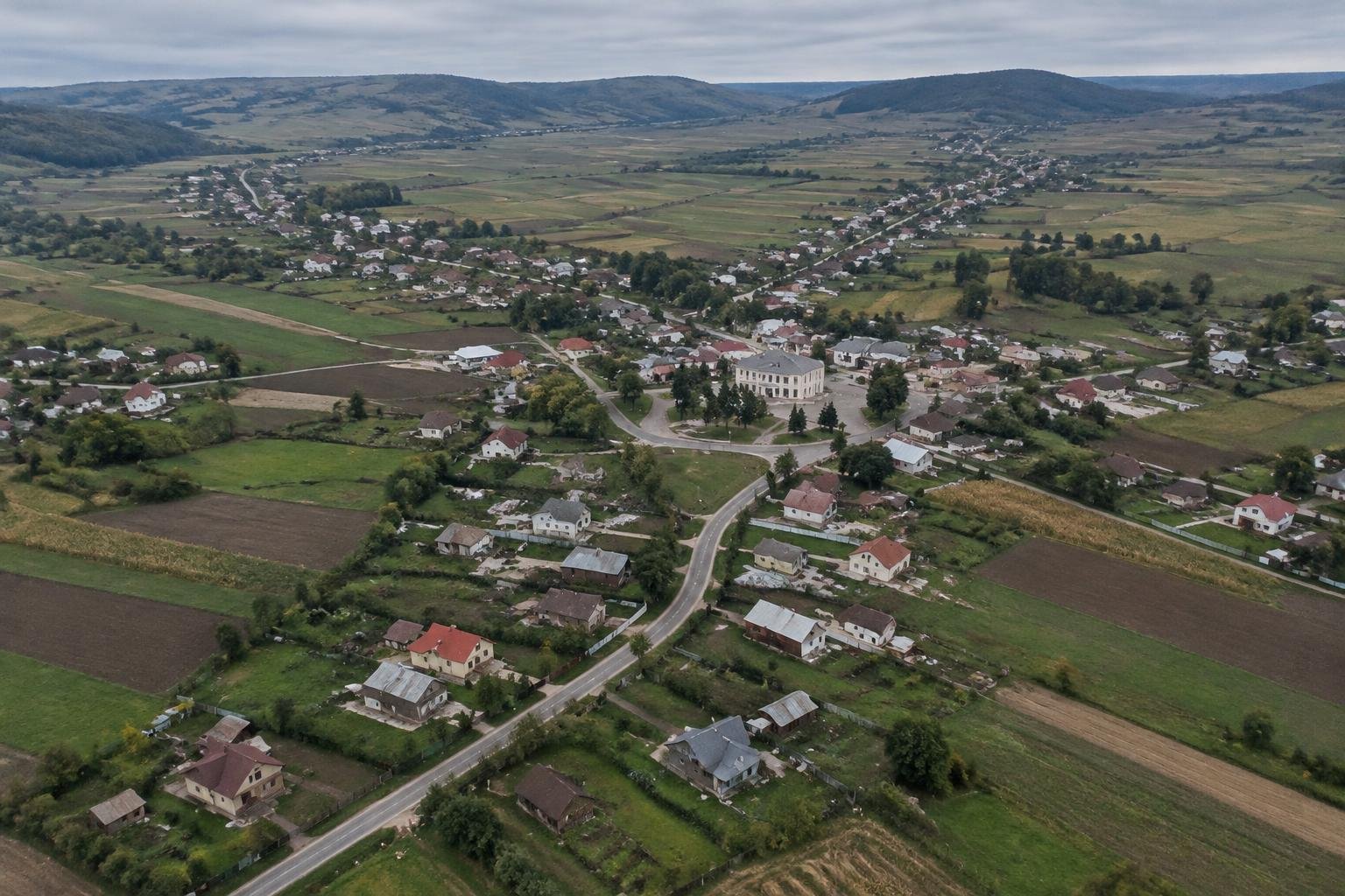 Controale la lemnarii din zona Dornei: 82 de sancțiuni, peste 74.000 de lei amenzi și 20,9 metri cubi de lemn confiscat
